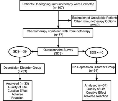 Effect of depression disorder on the efficacy and quality of life of first-line chemotherapy combined with immunotherapy in oncogene-driver negative NSCLC patients